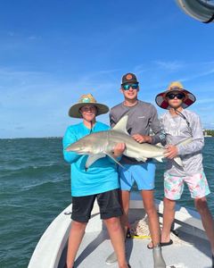 Bonnethead shark caught on fishing trip in FL