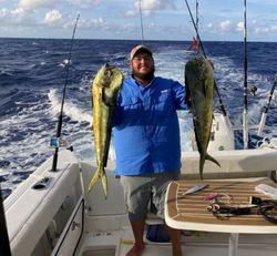 2 big fish caught by a person in Marathon