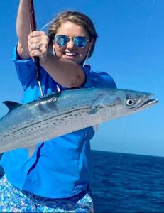 Cero Mackerel fish caught while fishing in Marathon