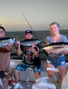 Three blackfin tuna fish caught while fishing in Marathon
