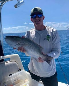 Single fisherman with 19-inch catch in FL