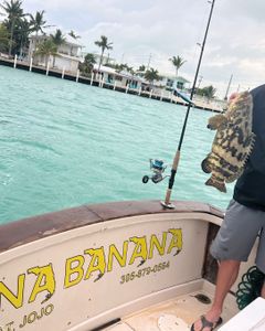 Marathon fishing adventure