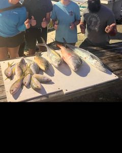 Three fish caught while fishing in Marathon