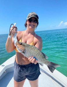 Angler with a fish caught in Florida