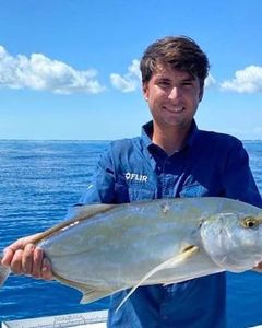 A fisherman holding a 19-inch Florida Pompano in Marathon