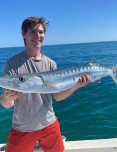 Great Barracuda, a 27-inch fish, caught while fishing in Marathon