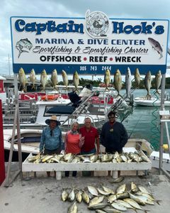 5 blue runner and spanish mackerel fish, 44 inches long, caught while fishing in Marathon, Florida