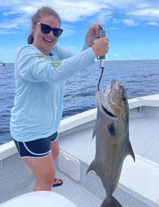 Longfin Yellowtail fishing in FL