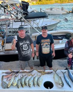 Two Blue Runner fish caught by two anglers in Marathon