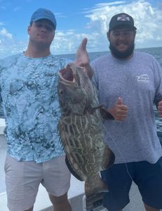 Gag Grouper, a large fish caught while fishing in FL