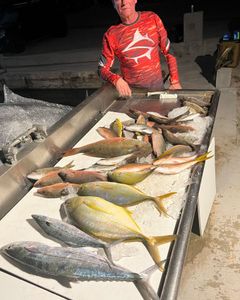 4 mutton snapper fish caught in Marathon, Florida, during fishing