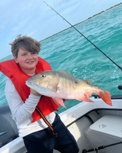 Mutton Snapper, 19-inch fish, fishing in FL