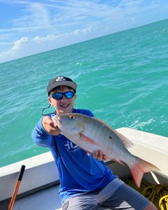Mutton snapper fish caught in Marathon, Florida