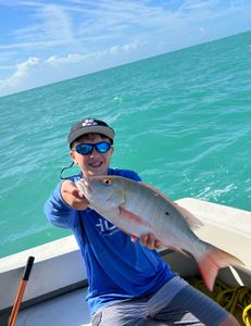 Mutton snapper fish caught by fisherman in Marathon, Florida