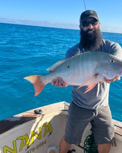 Mutton snapper, a 21-inch fish, caught while fishing in Marathon