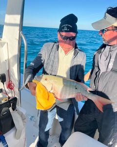 One Mutton Snapper fish caught while fishing in Marathon