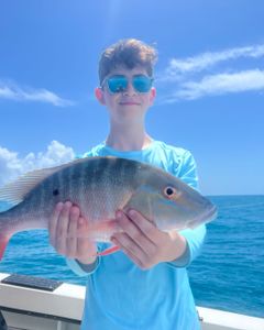 Mutton Snapper, a 20-inch fish, caught while fishing in Marathon, Florida