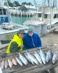 8 Pollock and King Mackerel fish caught in FL