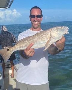 Angler holding a large redfish caught while fishing in Marathon, Florida