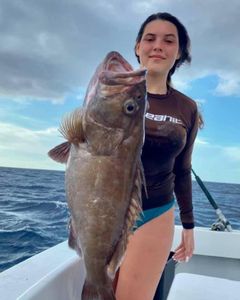 Angler holding a 27-inch fish in FL