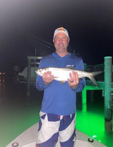 Tarpon fish caught while fishing in FL