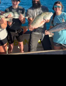 Three big fish caught while fishing in Marathon