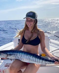 Wahoo fish caught while fishing in Marathon