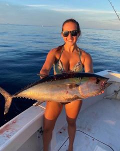 Yellowfin tuna caught while fishing in FL