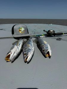 Trout fishing at its finest!
