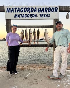 Another successful fishing trip in Matagorda Bay.