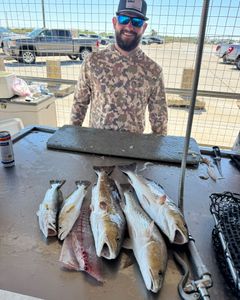 Beautiful conditions for a day of fishing.