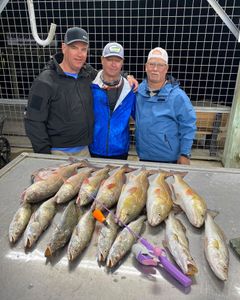 Here's another successful trip w/ matagorda guides