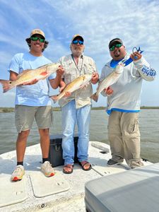 3 redfish caught in Matagorda, Texas