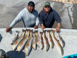 4 whiting and redfish caught in Matagorda