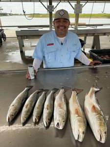 5 spotted weakfish caught in Matagorda, Texas
