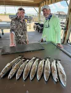 6 fish caught during a fishing trip in Matagorda