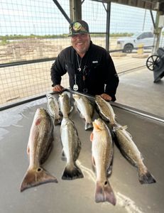6 great fish caught while fishing in TX