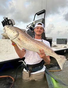 Angler holding a big fish in Texas