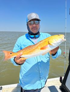 Angler with a big fish in Matagorda