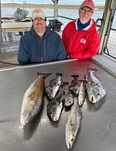 Anglers pose with two large black drum and chub mackerel fish caught in Matagorda