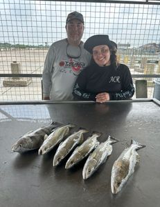 3 fishing rods with people in TX