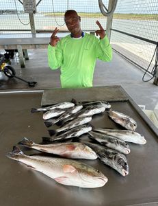 4 big fish caught in TX