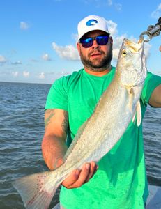 A person fishing for the best catch in TX