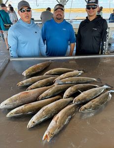 5 amazing fishing catch in TX