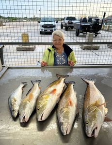 5 big fish caught while fishing in TX