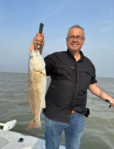 Redfish, 22-inch fish caught while fishing in TX