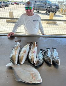 Image of 7 black drum fish caught by two people in Matagorda, Texas
