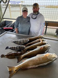 4 black drum fish caught in TX
