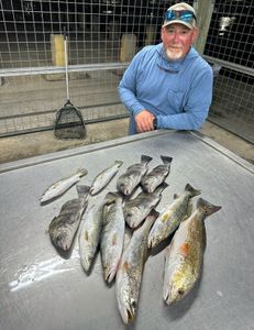11 black drum and spanish mackerel fish caught in Matagorda