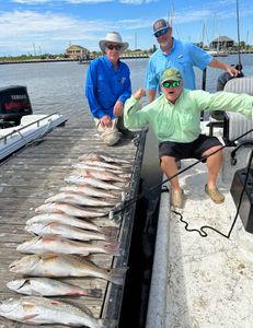 7 big fish caught during a fishing trip in Matagorda